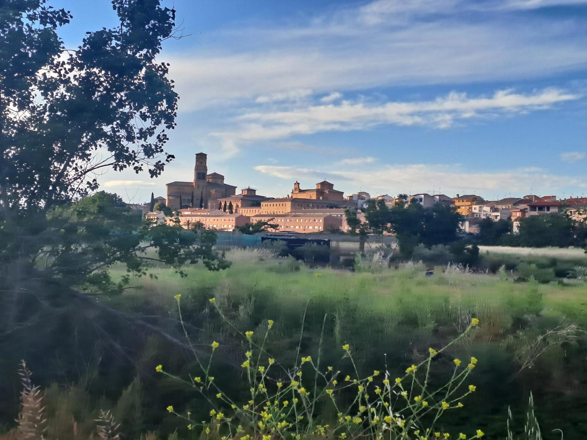 Apartamento Rural Las Canas Esencia De Bardenas Villafranca Exterior foto